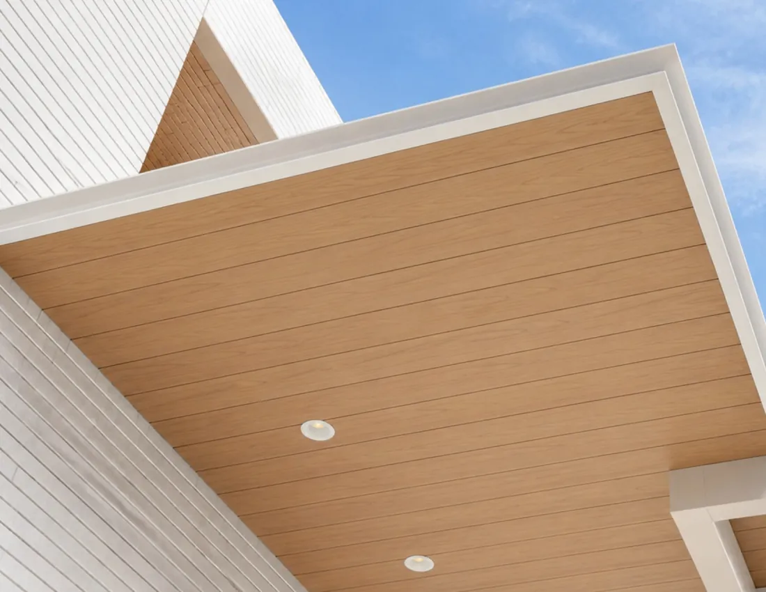 Ceilings & walls · Porch