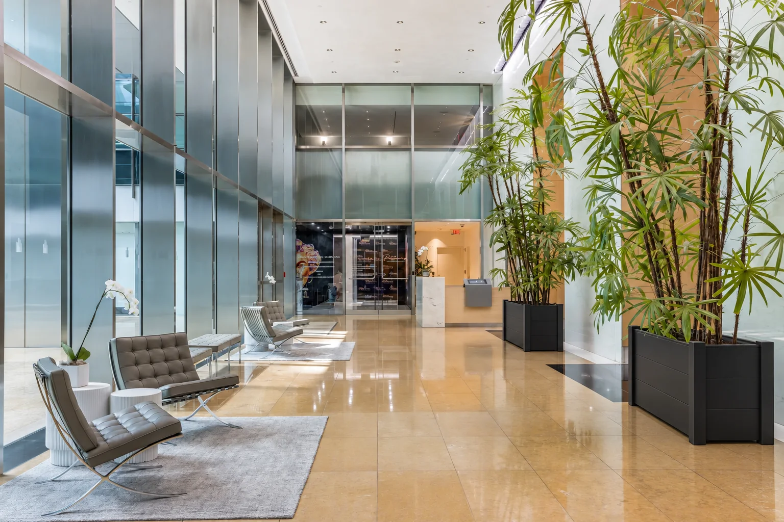Office lobby · Black planters